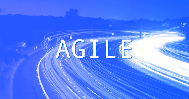 Servizi Multimediali e i siti web Agile